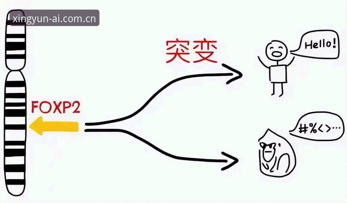 0.3%的差距，有时候比98.8%这个数字本身更真实。